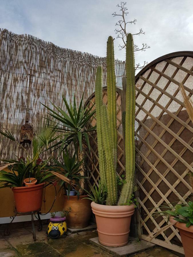 La Casa Azul Almería Eksteriør bilde